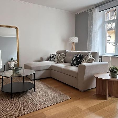 Hypercentre 80M2, A Deux Pas Du Chateau Des Rohan Saverne Bagian luar foto