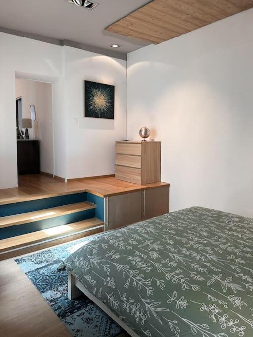 Hypercentre 80M2, A Deux Pas Du Chateau Des Rohan Saverne Bagian luar foto