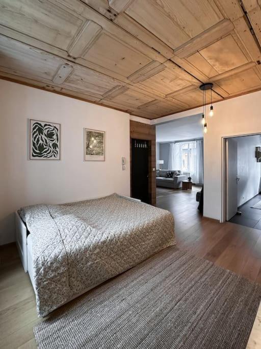 Hypercentre 80M2, A Deux Pas Du Chateau Des Rohan Saverne Bagian luar foto