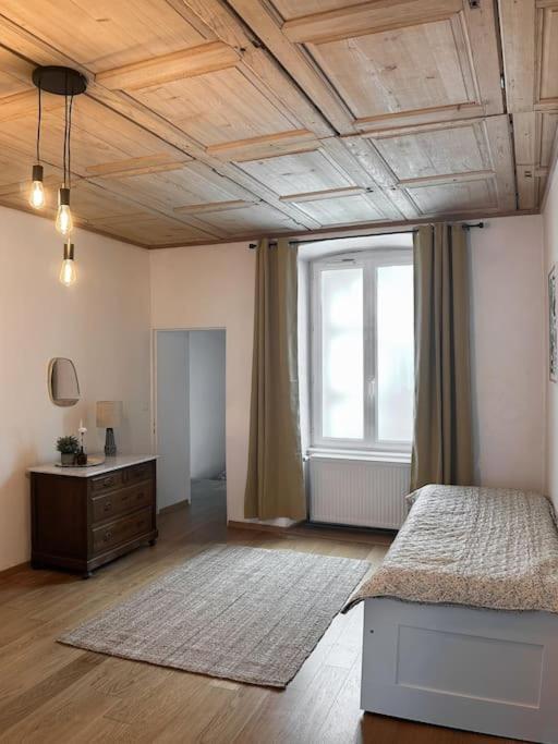 Hypercentre 80M2, A Deux Pas Du Chateau Des Rohan Saverne Bagian luar foto