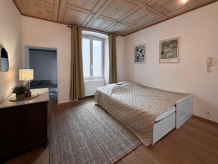Hypercentre 80M2, A Deux Pas Du Chateau Des Rohan Saverne Bagian luar foto