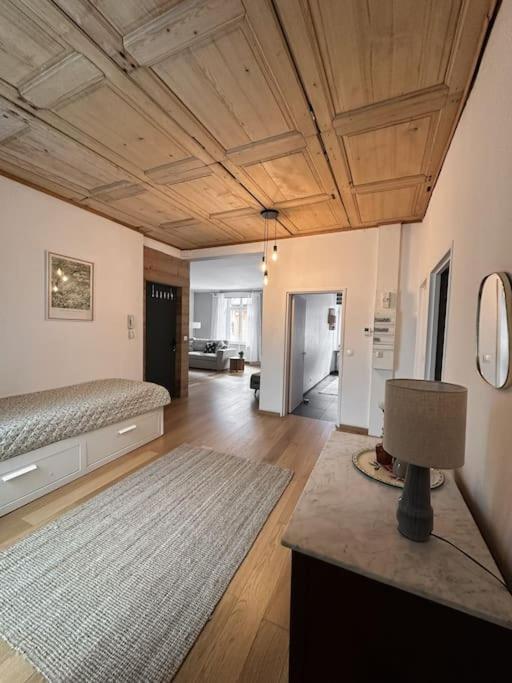 Hypercentre 80M2, A Deux Pas Du Chateau Des Rohan Saverne Bagian luar foto