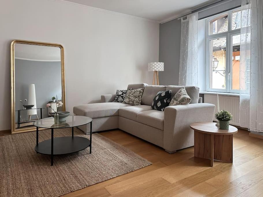 Hypercentre 80M2, A Deux Pas Du Chateau Des Rohan Saverne Bagian luar foto